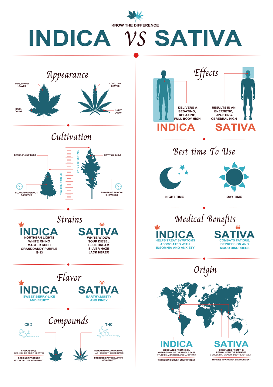 Indica vs. Sativa