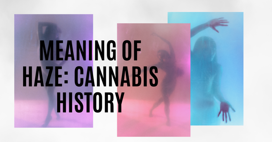 Meaning of Haze cannabis history