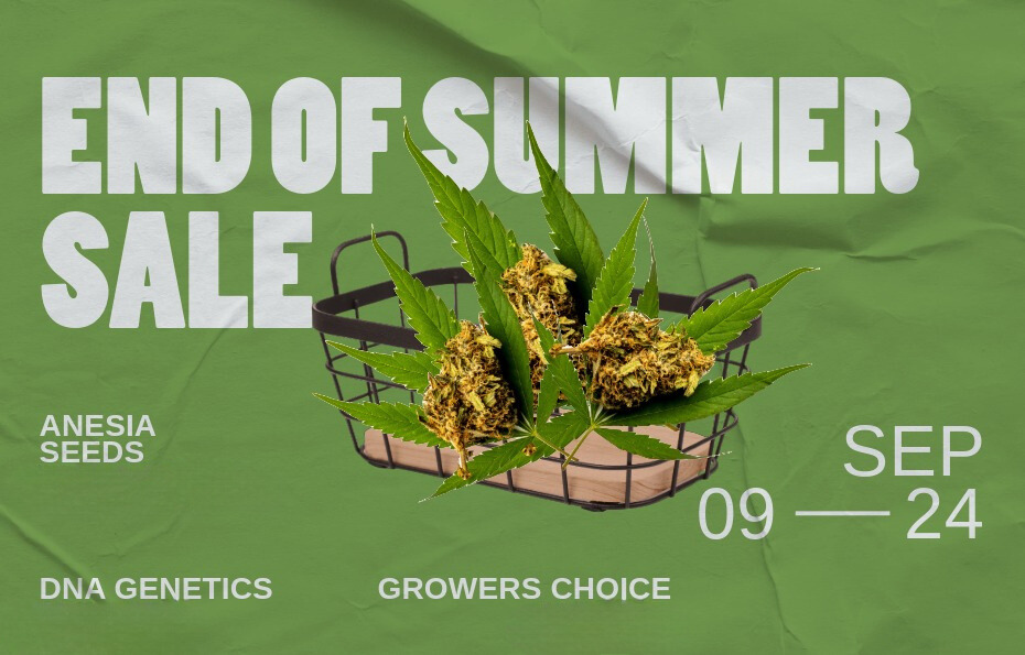 Deals on Cannabis Seeds - September 2024