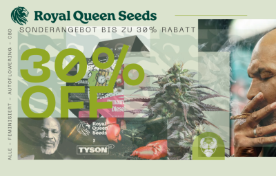 Royal Queen Seeds Sonderangebot