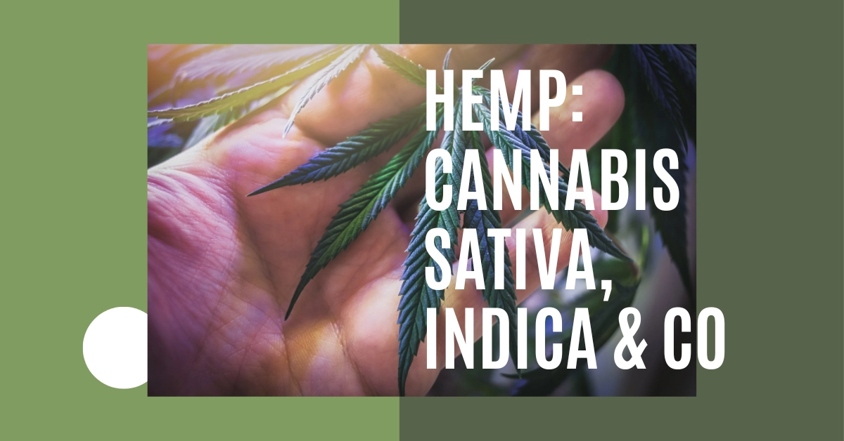 Hemp: Cannabis Sativa, Indica & Co