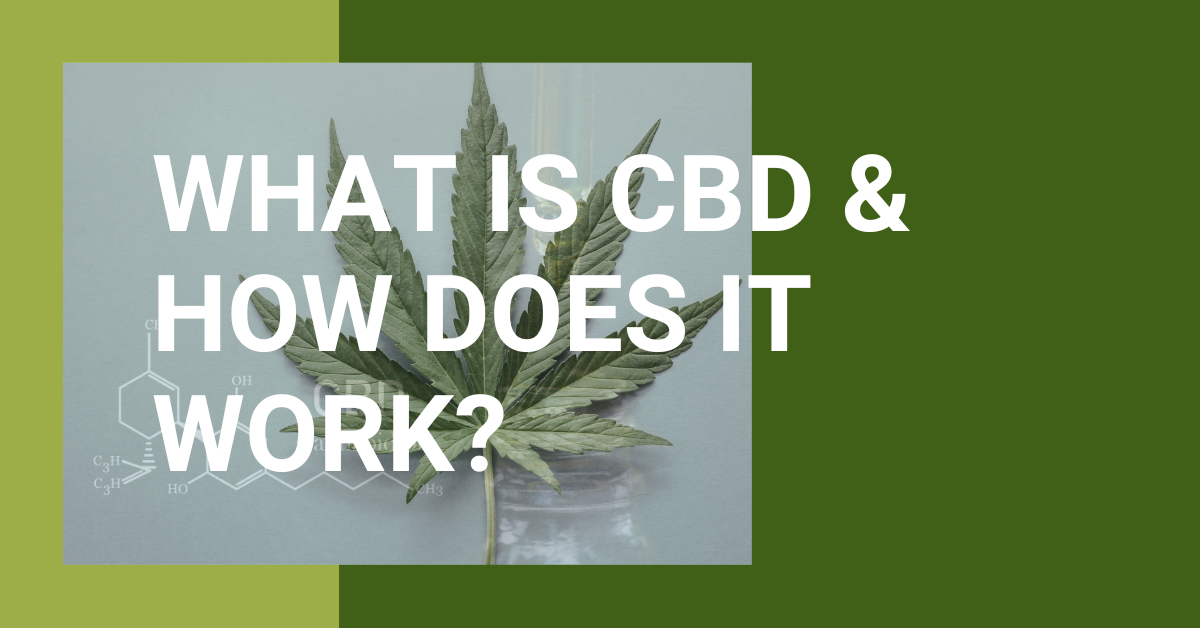 Was ist CBD - Wie wirkt es?