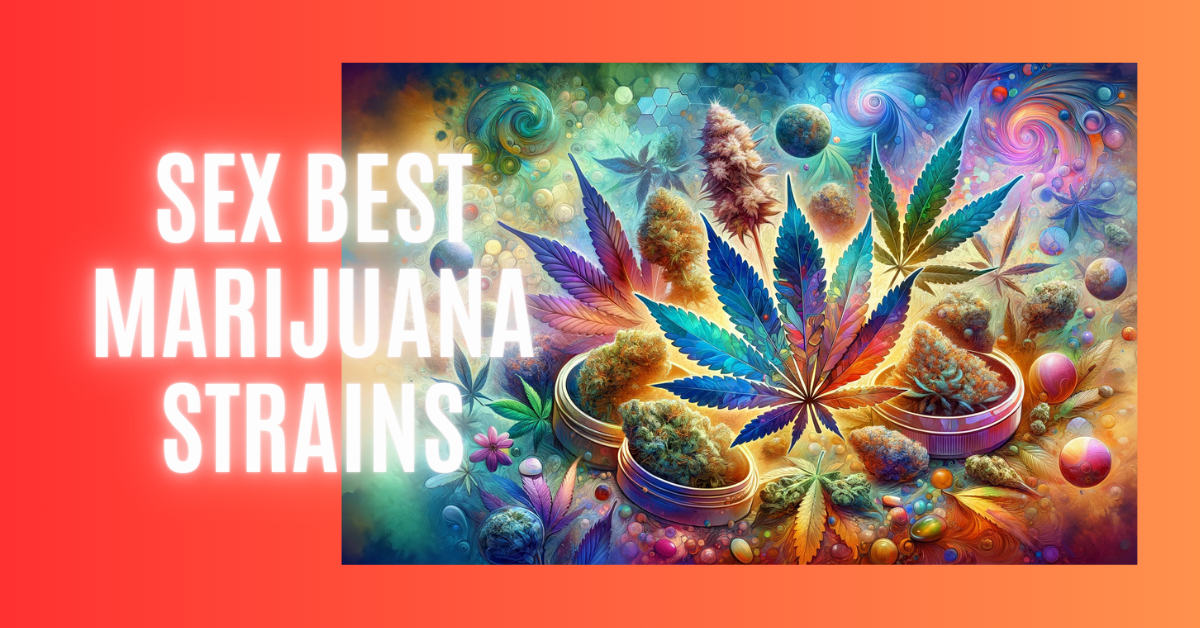 Die SEX besten Marihuana-Sorten