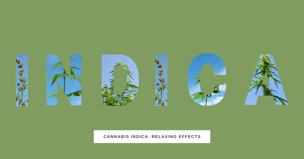 Cannabis Indica Strains and their Effects