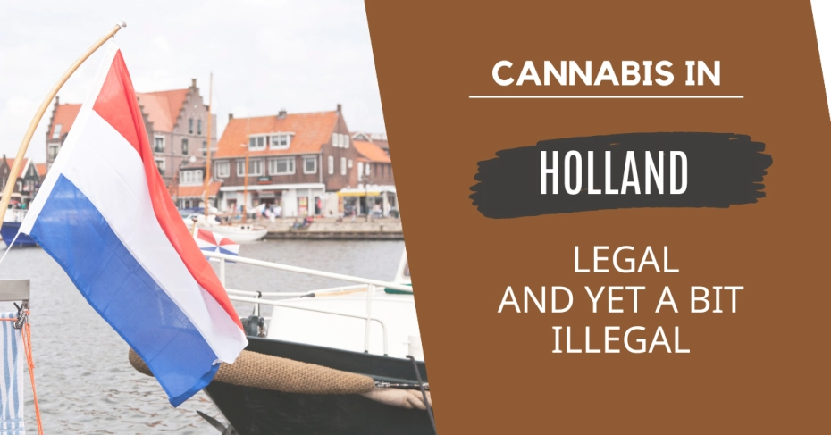 Cannabis in the Netherlands: Legally Hazy