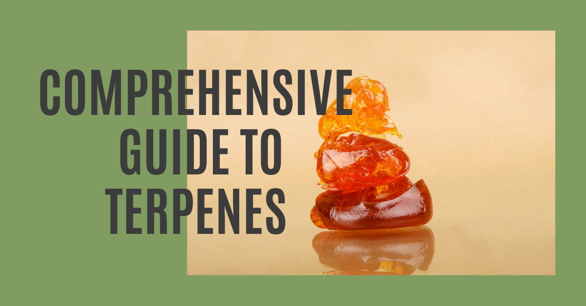 Comprehensive Guide to Terpenes