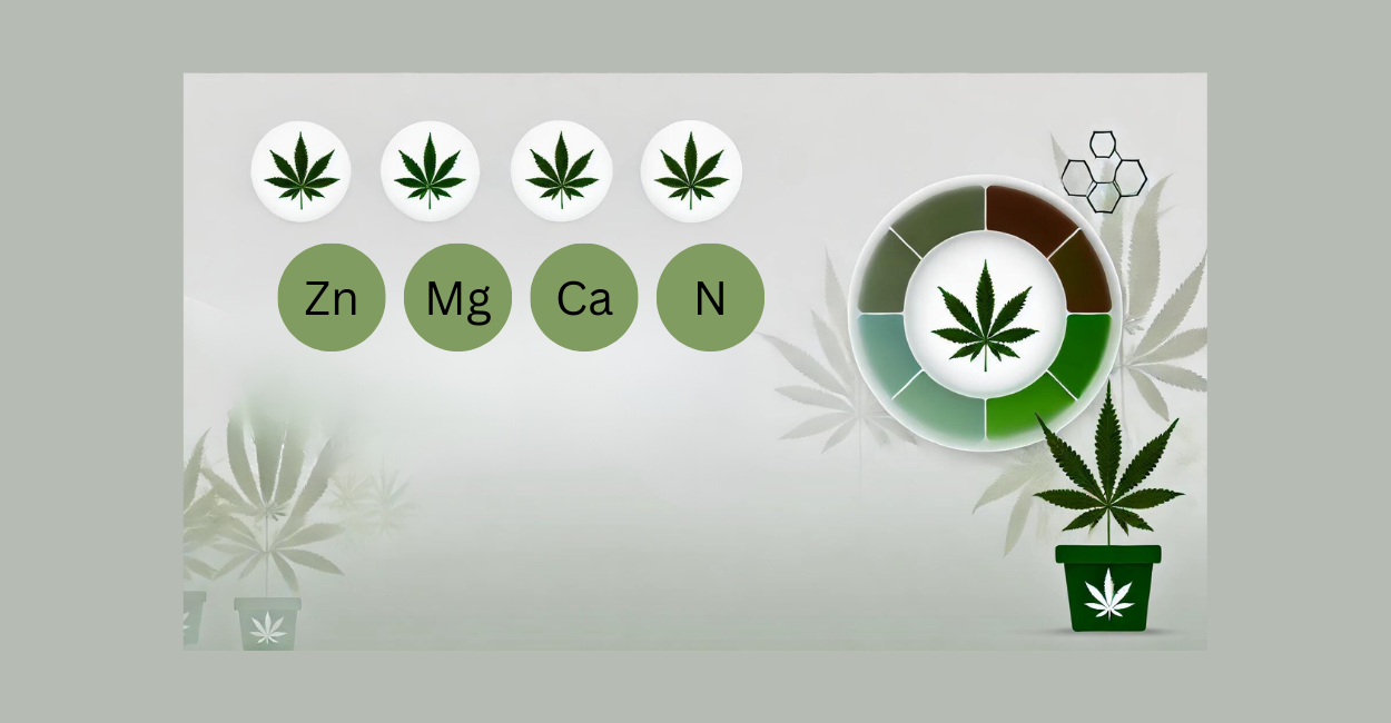 Nutrient Deficiencies