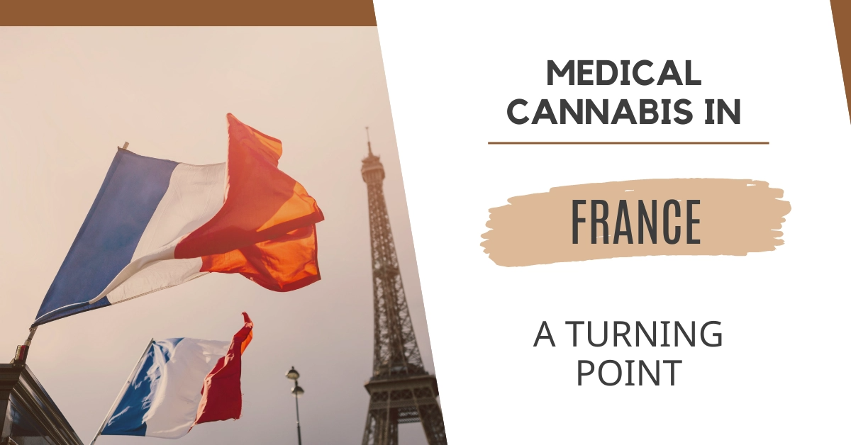 Medizinisches Cannabis in Frankreich: Ein Wendepunkt