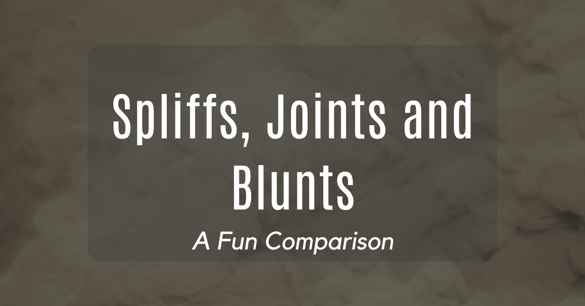 Spliff vs. Joint vs. Blunt: What’s the Difference | Cannoptikum