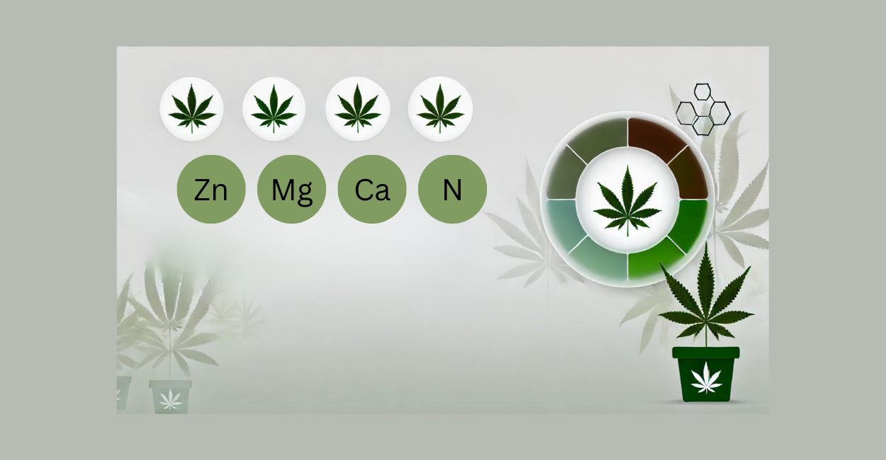 Nutrient Deficiencies in Cannabis