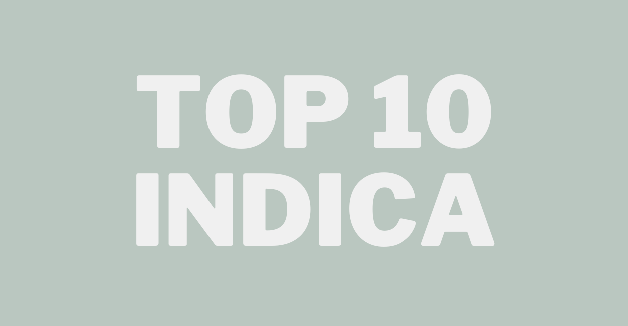 Top 10 Indica strains: Discover the best