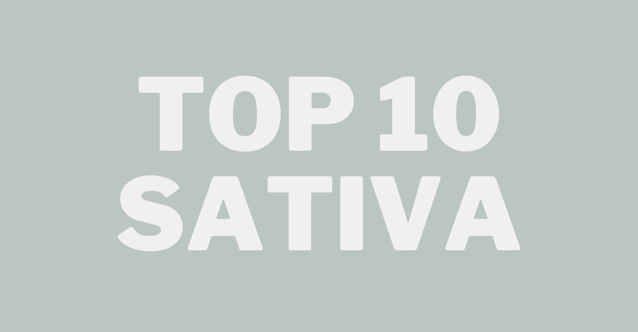 Top 10 sativa strains: discover the best