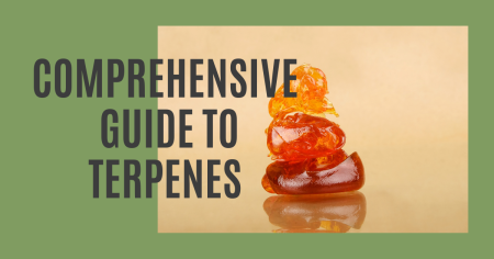 Comprehensive Guide to Terpenes: Applications, Benefits, and Sustainability