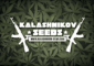 Kalashnikov Seeds | Russische Saatgutbank