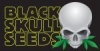 Blackskull Seeds: Potente Sorten