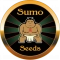 Sumo Seeds: Renommierte Samenbank