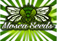 Mosca Seeds | Cannabis-Samenbank