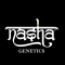 Nasha Genetics: Natural Selection