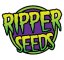 Ripper Seeds: Reißende Genetik