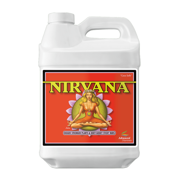 Nirvana