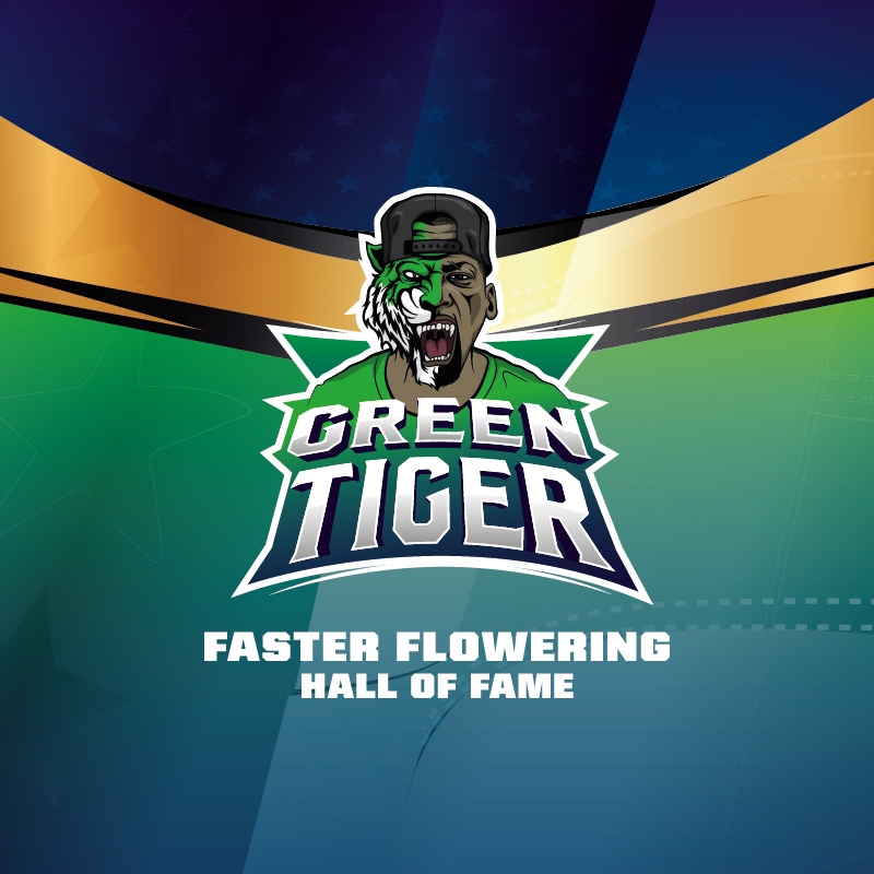 Green Tiger Faster