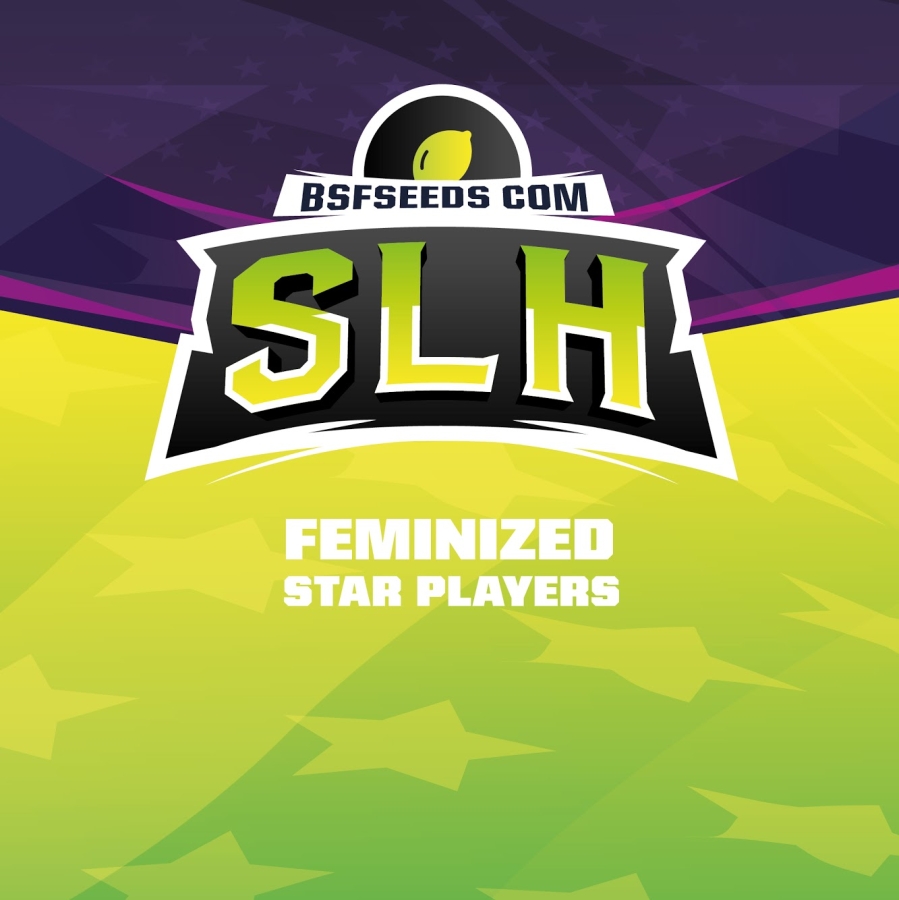 SLH