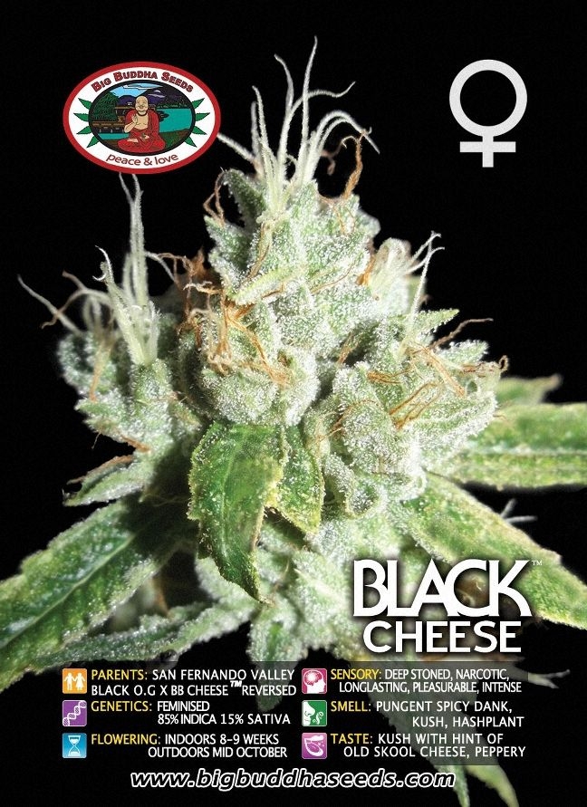 Black Cheese