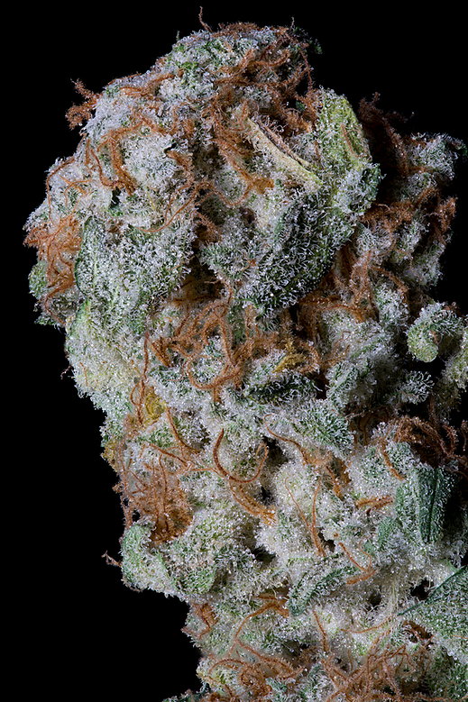 Sherbert Glue