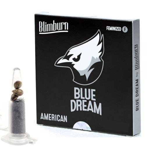 Blue Dream (BlimBurn)