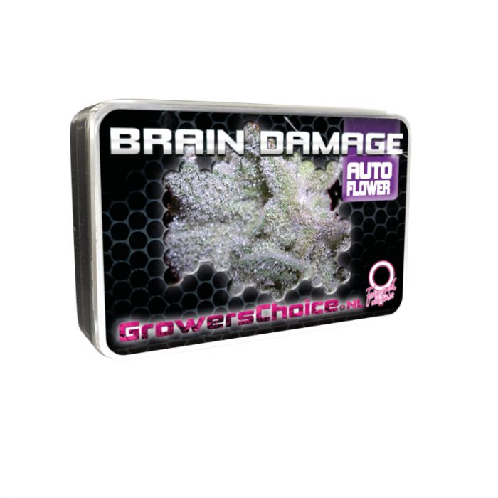 Brain Damage Auto