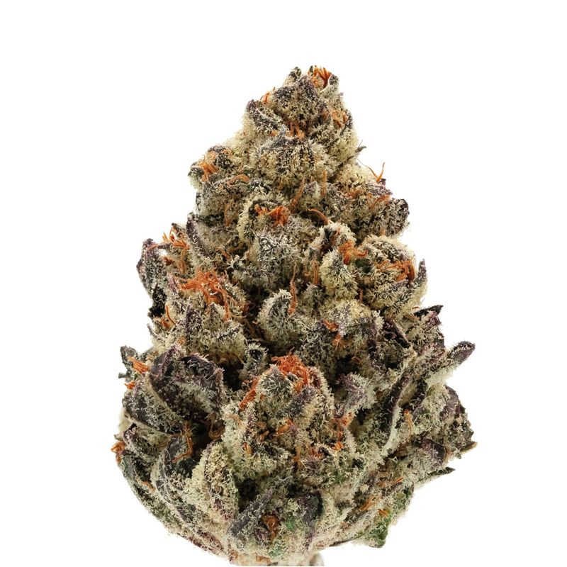 Bruce Banner III Auto