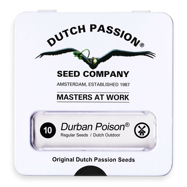 Durban Poison regulär