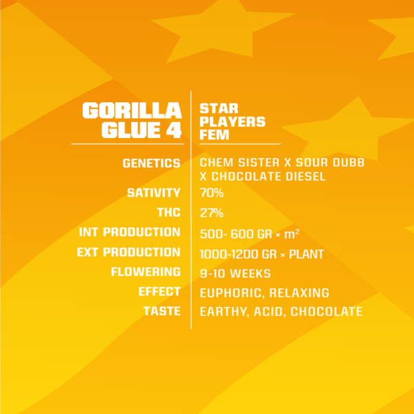 Gorilla Glue #4 (BSF)