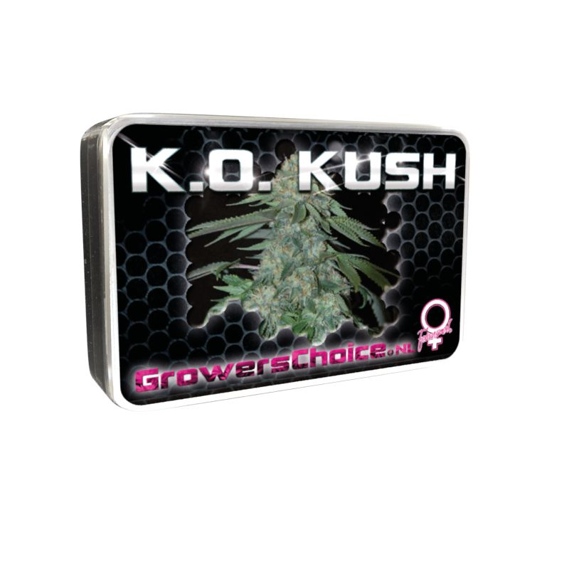 KO Kush