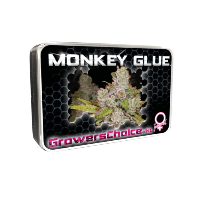 Monkey Glue