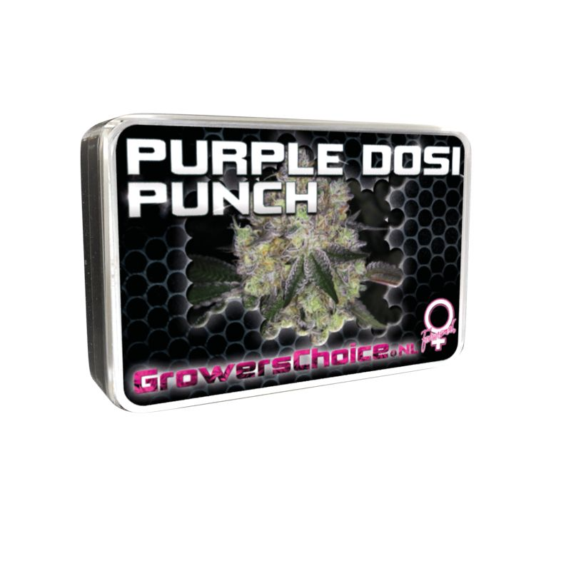 Purple Dosi Punch