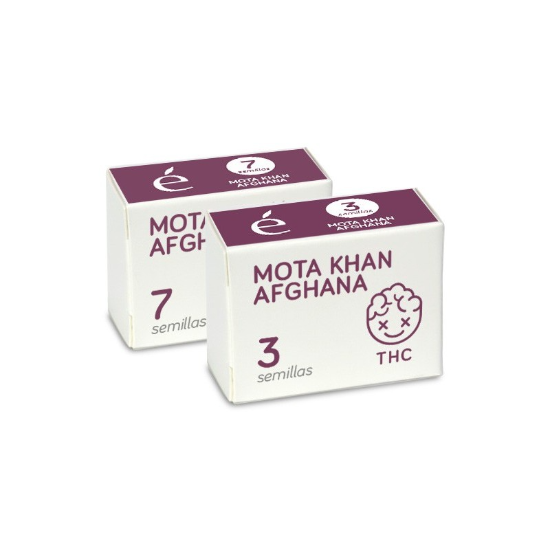 Mota Khan Afghana