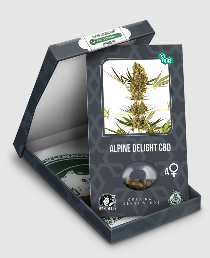 Alpine Delight CBD Auto