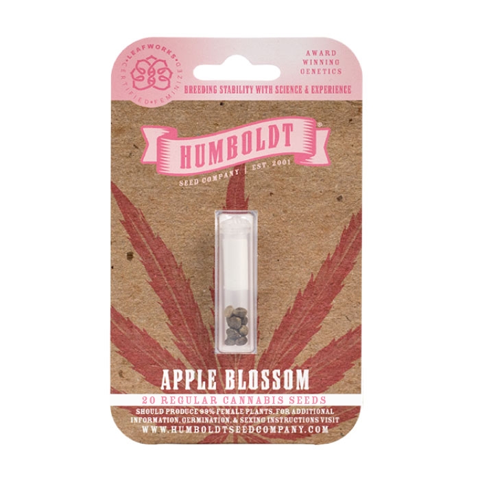 Apple Blossom regular