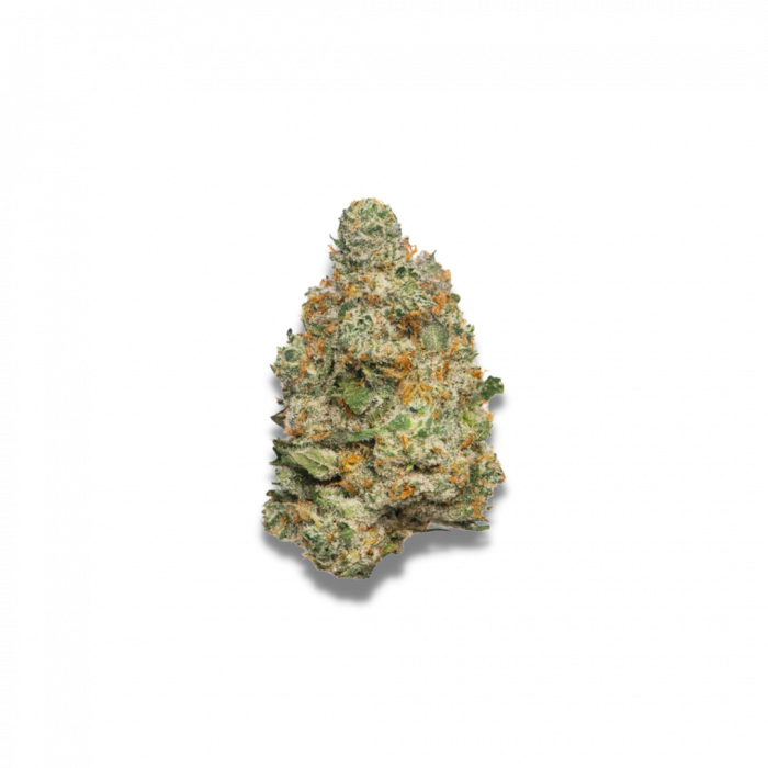 Apple Fritter Auto