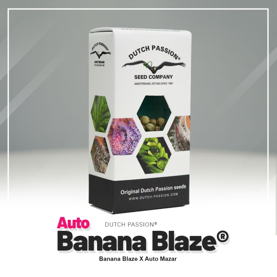 Auto Banana Blaze