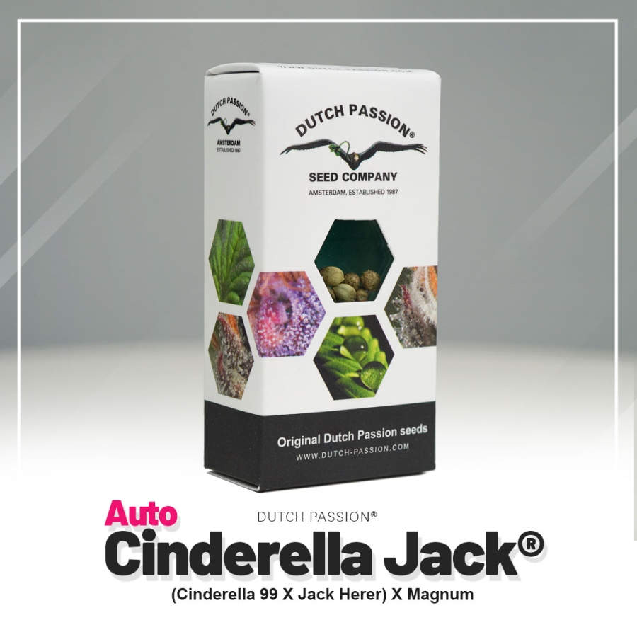 Auto Cinderella Jack