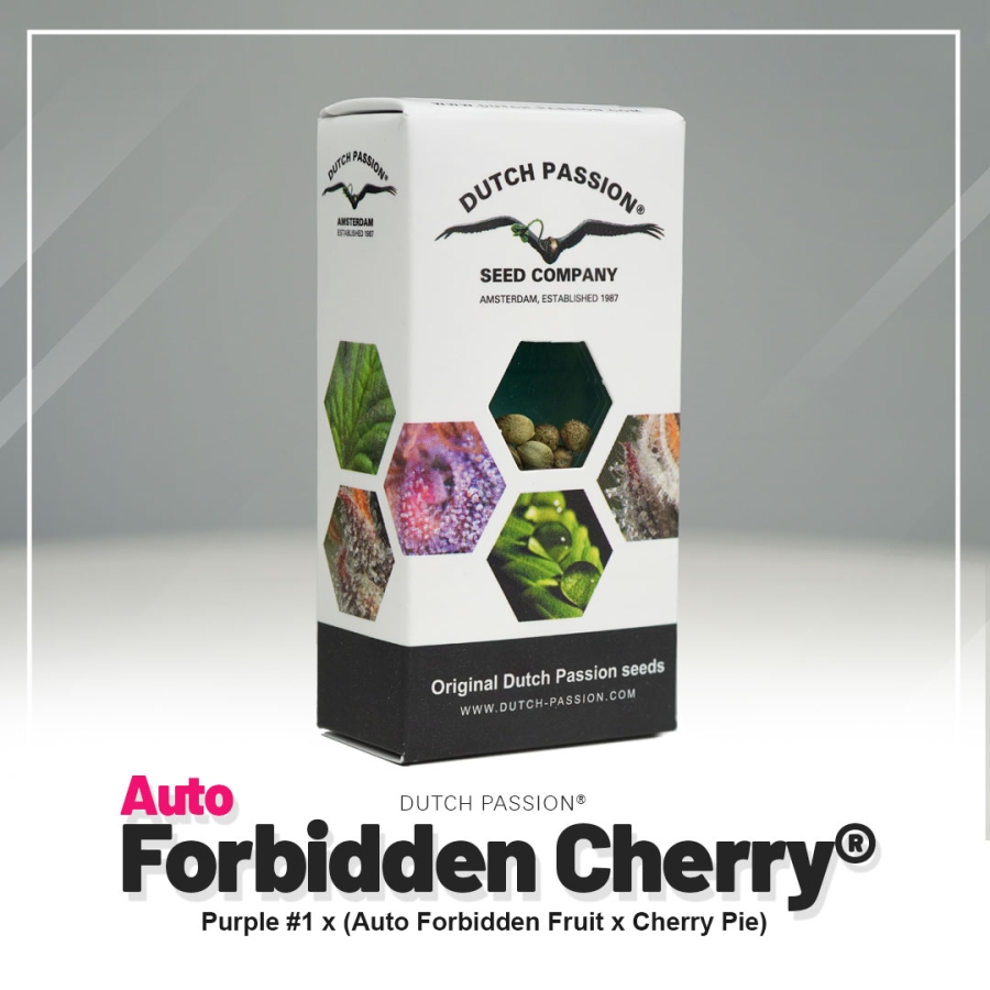 Auto Forbidden Cherry