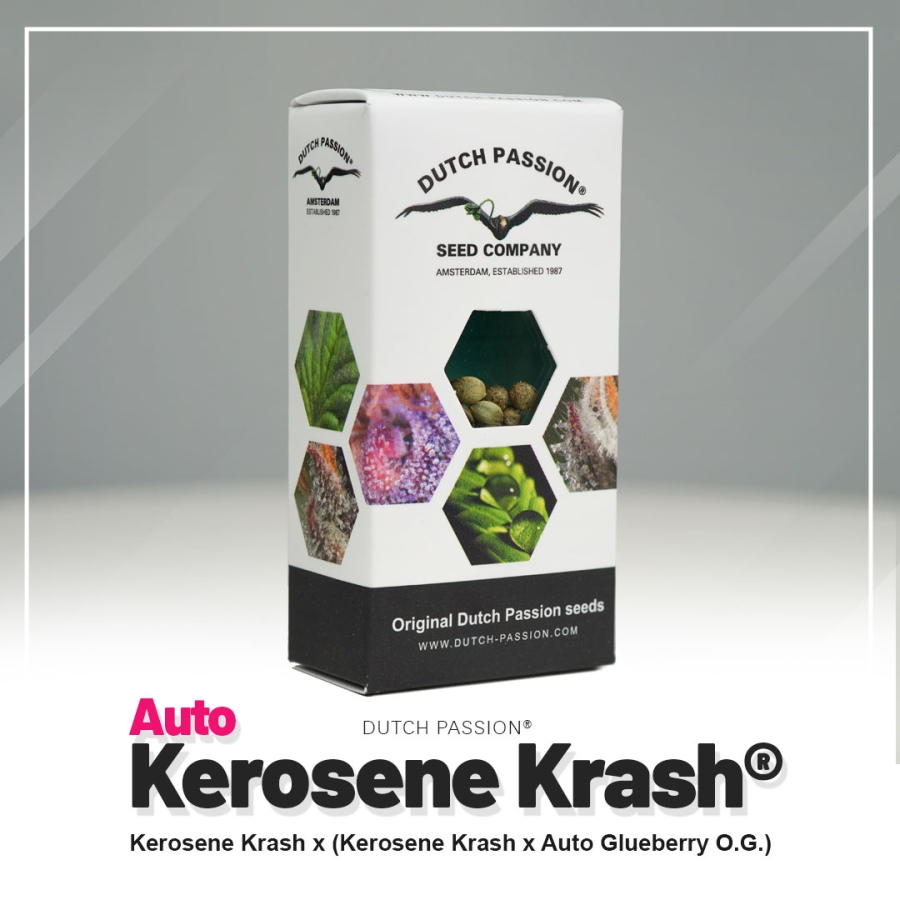 Auto Kerosene Krash