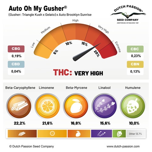 Oh My Gusher Auto