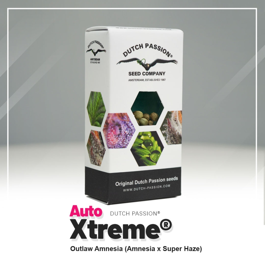 Auto Xtreme