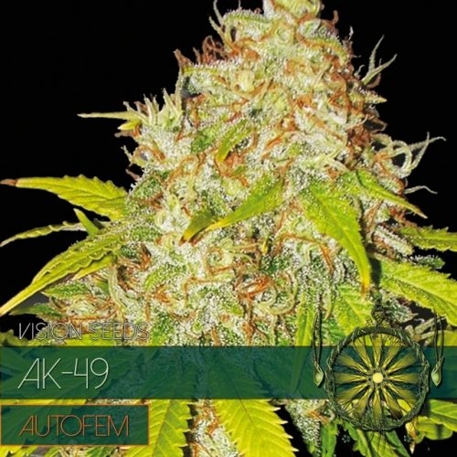 AK 49 Auto