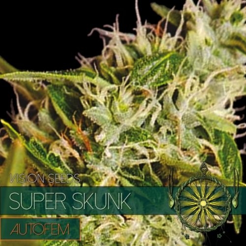 Super Skunk Auto (Vision)