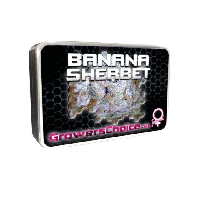 Banana Sherbet