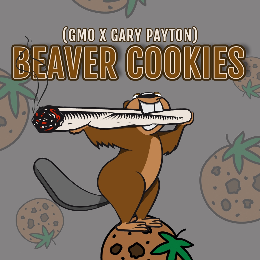 Beaver Cookies